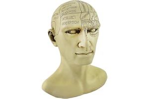 Things2Die4 Creepy Cast Resin Phrenology Head Victorian Steampunk