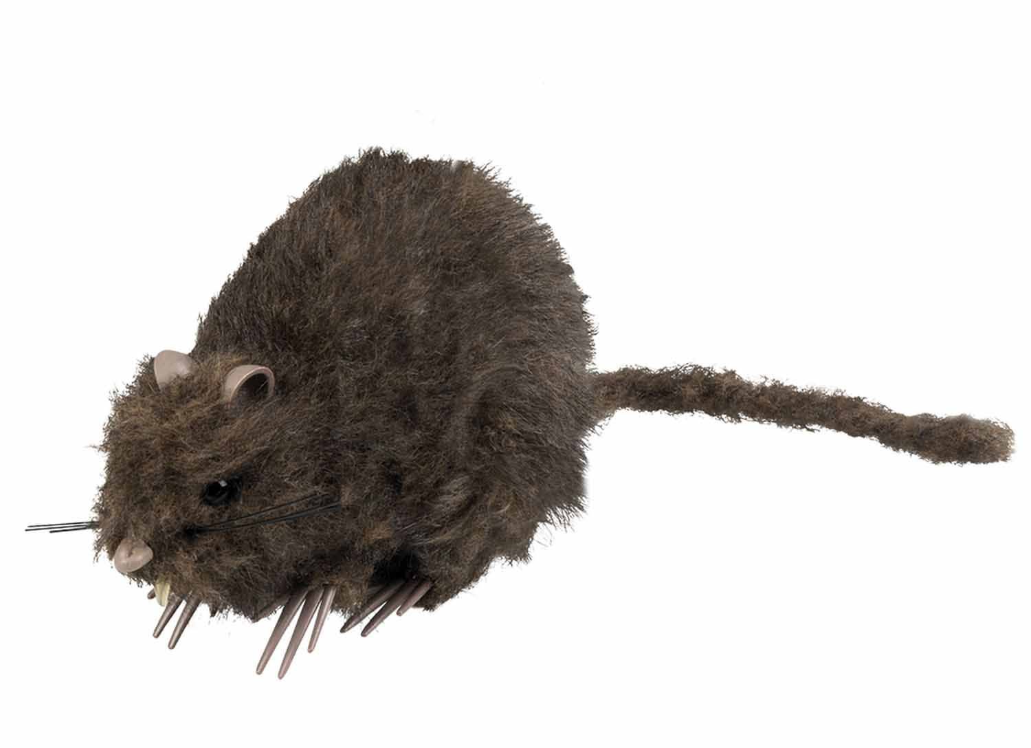 Boland 10117171 Decoration Rat Skeleton 15 x 8 cm