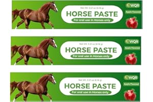 Horse Paste – 1.87% Strength, Apple-Flavored Oral Syringe | 6.18g Tube for Horses Up to 1,250 lbs (Pack of 3 by WQR)