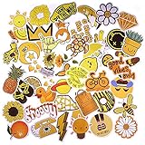 Cute Vsco Trendy Stickers, 50 Pack - Lovely,Waterproof,Aesthetic Sticker for Teens Girls, Computer Skateboard MacBook Luggage Car Bike Bicycle Motorcycle Stickers-[No-Duplicate Sticker Pack]