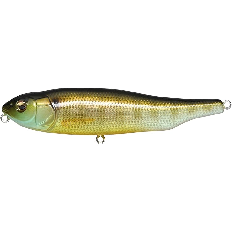 Amazon.com : Megabass Giant Dog-X Black Orochi Topwater Pencil