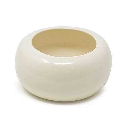 The Himalayan Goods Company Ceramic Succulent Indoor Outdoor Planter , Matt White, Standard