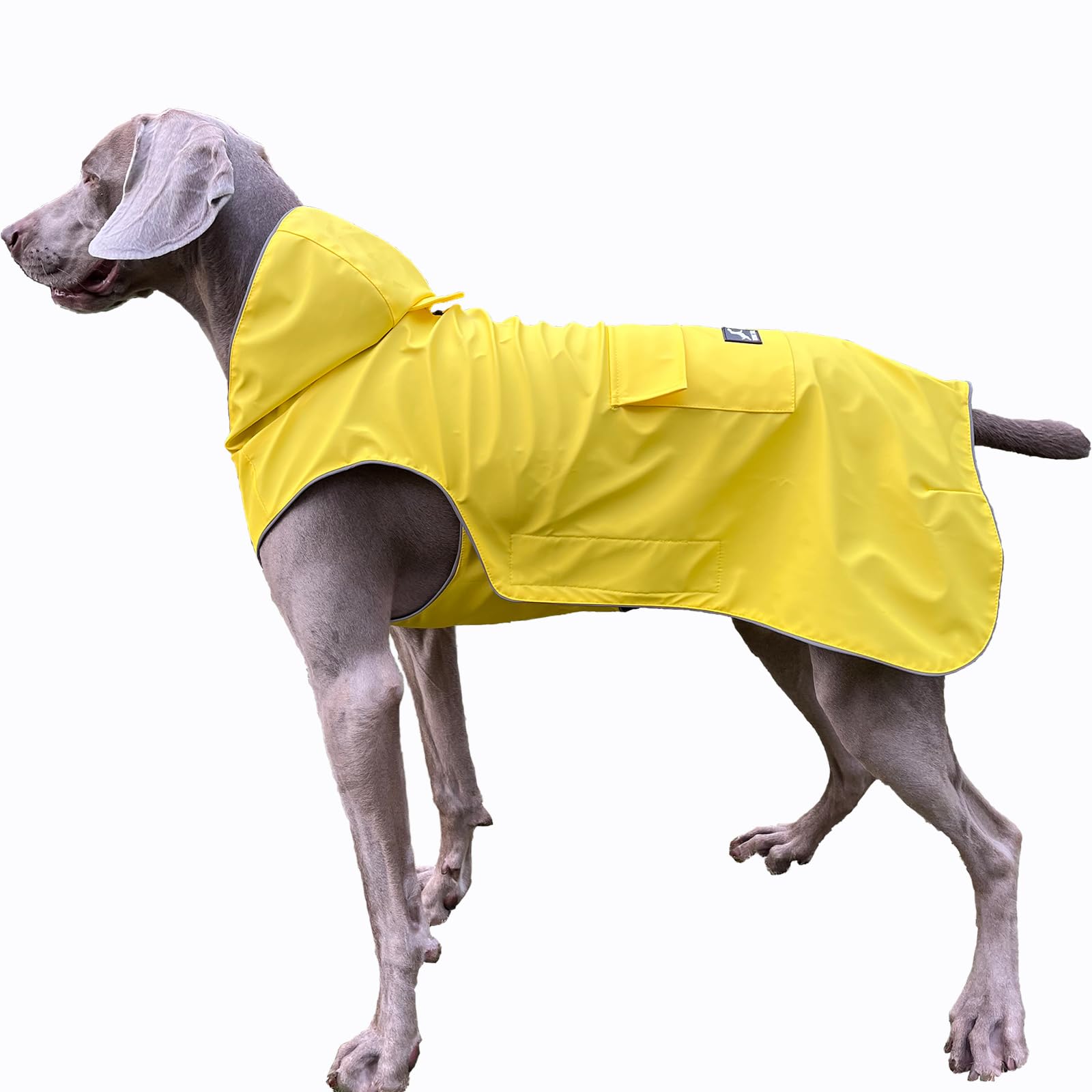 Not Stiffen Dog Raincoat Reflective, Adjustable, Easy Wear, from 2XS - 5XL Dogs, Soft HandFeel Coating Raincoat for Outwear, Sports with Leash Hole(4XL)