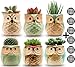 Owl Pots 2.5 Inch,Flowing Glaze Succulent Pots,Owl Planter/Mini Ceramic Pots,Small Flower/Plant/Cactus/Bonsai Container with Hole 6Pack