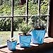 Window Garden Aquaphoric Self Watering Planter (7”) + Fiber Soil = Foolproof Indoor Garden. Decorative Planter Pot for House Plants, Flowers, Herbs, Violets, Succulents. Easy Looks Great.