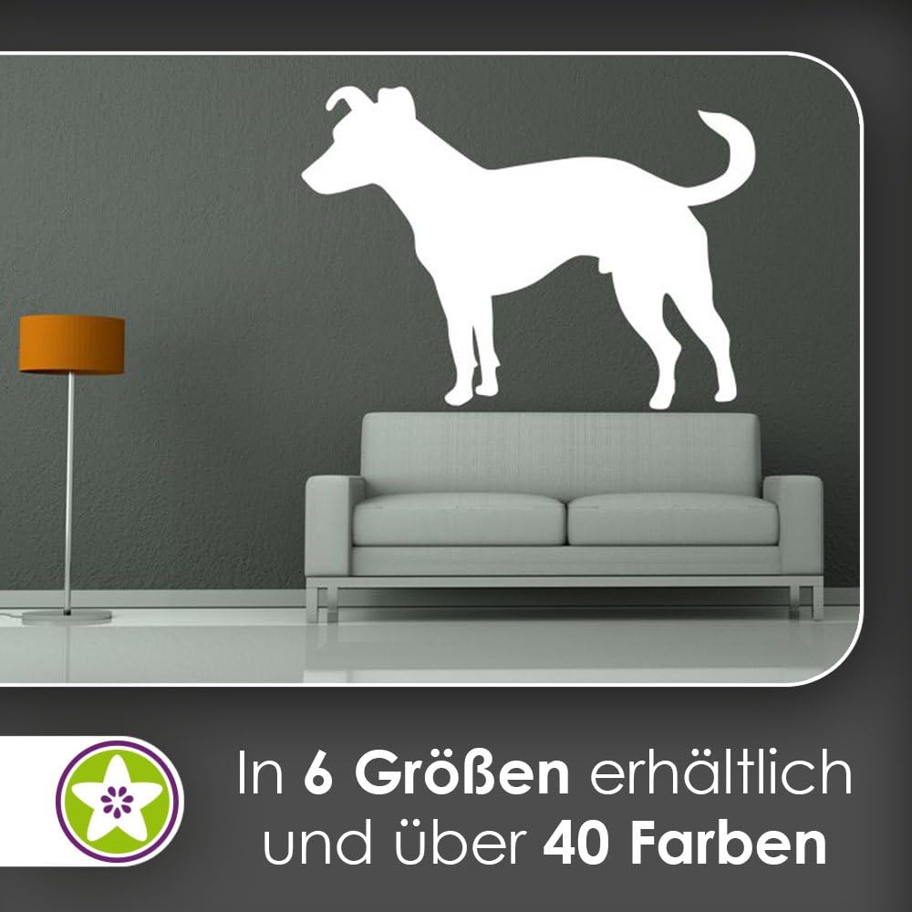 hauptsachebeklebt Kiwi Star Jack Russell Silhouette Wall Stickers Wall Stickers Wall Sticker available in 6 Sizes, 90_silbergrau, 40 x 29 cm