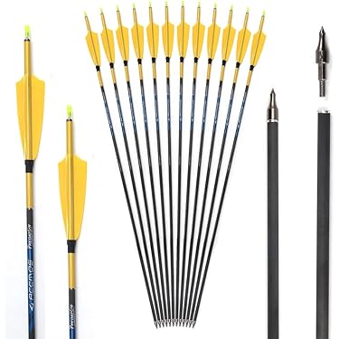 BLACK EAGLE ARROWS Carnivore 6 Flèches de chasse et tir 3D en carbone