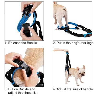 Buy Rozkitch Pet Dog Support Harness Rear Lifting Harness Veterinarian Approved For Old K9 Helps With Poor Stability Joint Injuries Elderly And Arthritis Acl Rehabilitation Rehab L Online In Indonesia B07m86d6zb