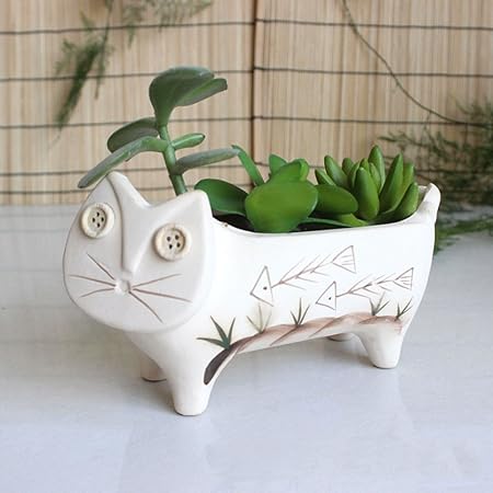 Ganeep 1 Pc Mignon En Ceramique Chat Pour Succulentes Decoratives Succulentes Pot Mini Fleur Pot Maison Jardin Decoration Amazon Fr Jardin