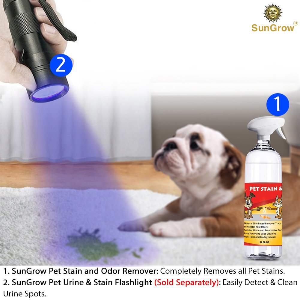 SunGrow Advanced Pet Urine Stain and Odor Remover for Dogs & Cats Owners: Clear, Clean, Enzyme Blend with a Pleasant Green Tea Scent : Color Safe & Effective for Clothing, Rugs, Counter-Tops & Floors