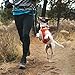 Ruffwear, Hi & Light, Everyday Lightweight Dog Harness, Trail Running, Walking, Hiking, All-Day Wear, Sockeye Red, Medium