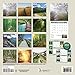 Turner Photo 2017 Pathways Photo Mini Wall Calendar, 7 x 14 inches Opened (17998950014)