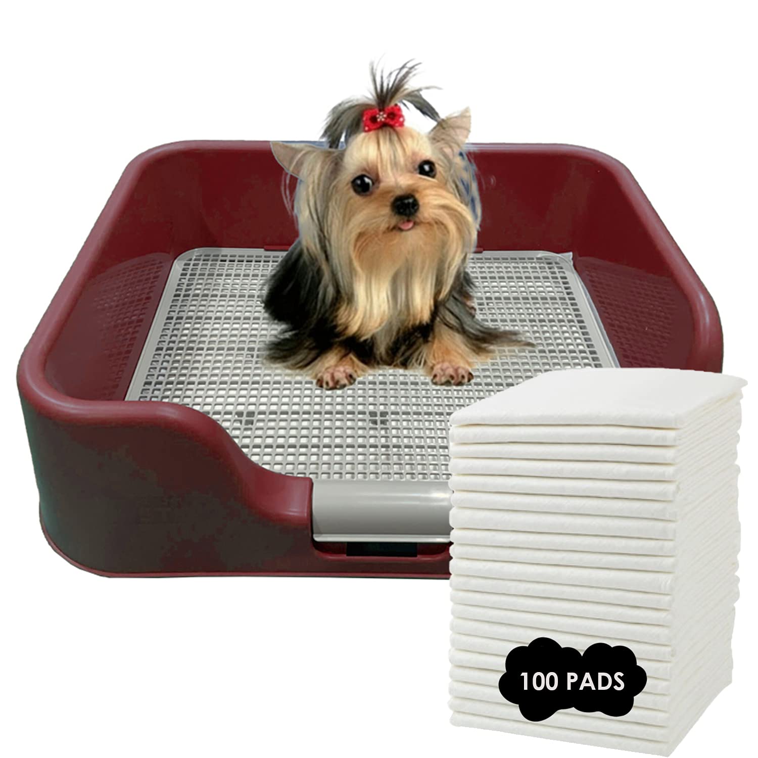 Photo 1 of PS KOREA] Indoor Dog Potty Tray – with Protection Wall Every Side for No Leak, Spill, Accident - Keep Paws Dry and Floors Clean (Wine) + Pee PAD 100 PCS