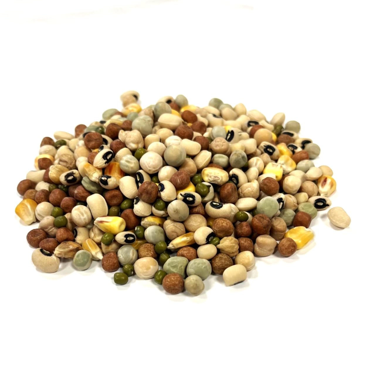 500g Mixed Pulses for Parrots SJJ