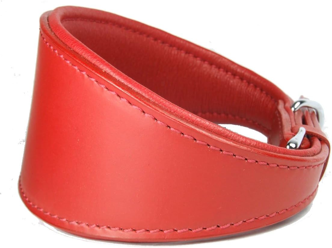 Plain Saluki Lurcher Greyhound LEATHER DOG COLLAR 20" Collar - will fit 15" to 18"