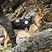 OneTigris Tactical Dog Molle Vest Harness Training Dog Vest with Detachable Pouches (Black, Medium)