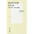 沈みゆく大国アメリカ 〈逃げ切れ！　日本の医療〉 (集英社新書)