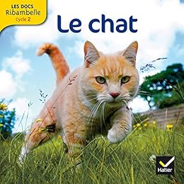 Le  chat