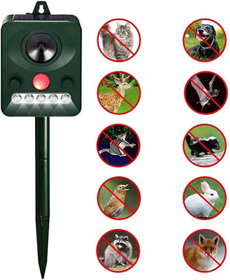 esca per cervi per l'arco