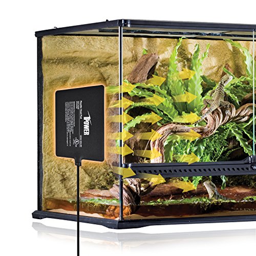 6 iPower+8+Inch+Reptile+Terrarium+Animals