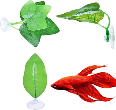 betta fish toys amazon