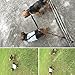 PROIMB Dog Leash Coupler No Tangle Double Dog Walker 2 Dogs Adjustable Splitter Lead for Small Large Dogs (Nylon Elastic)