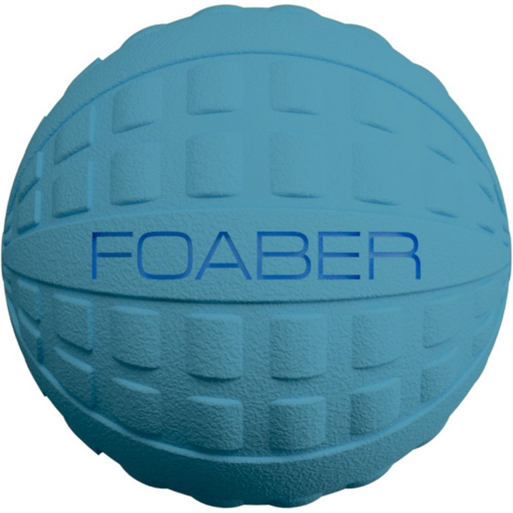 Foaber Bounce Dog Toy, Large, Blue