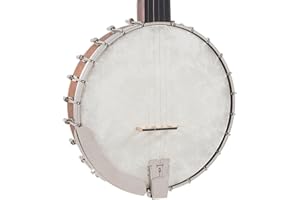 Recording King RK-OT25-BR Madison Open Back Banjo, Scooped Fretboard