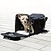 PetsN'all Airline Approved Pet Carrier Soft-Sided Foldable and Comfort Dog Travel Carrier Superior Ventilation Dimension Size 15.8 x 10.2 x 10.2