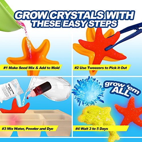 Crystal Growing Kit For Kids - Evviva Sciences - Science Kit To Make & Grow Rocks, Crystals, Gems - Easy All Inclusive Set - Chemistry, Geology & Learning Experiment Toy - w/ eBook