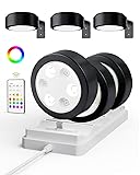 EZVALO Picture Lights for Wall with Charging