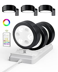 EZVALO Picture Lights for Wall with Charging