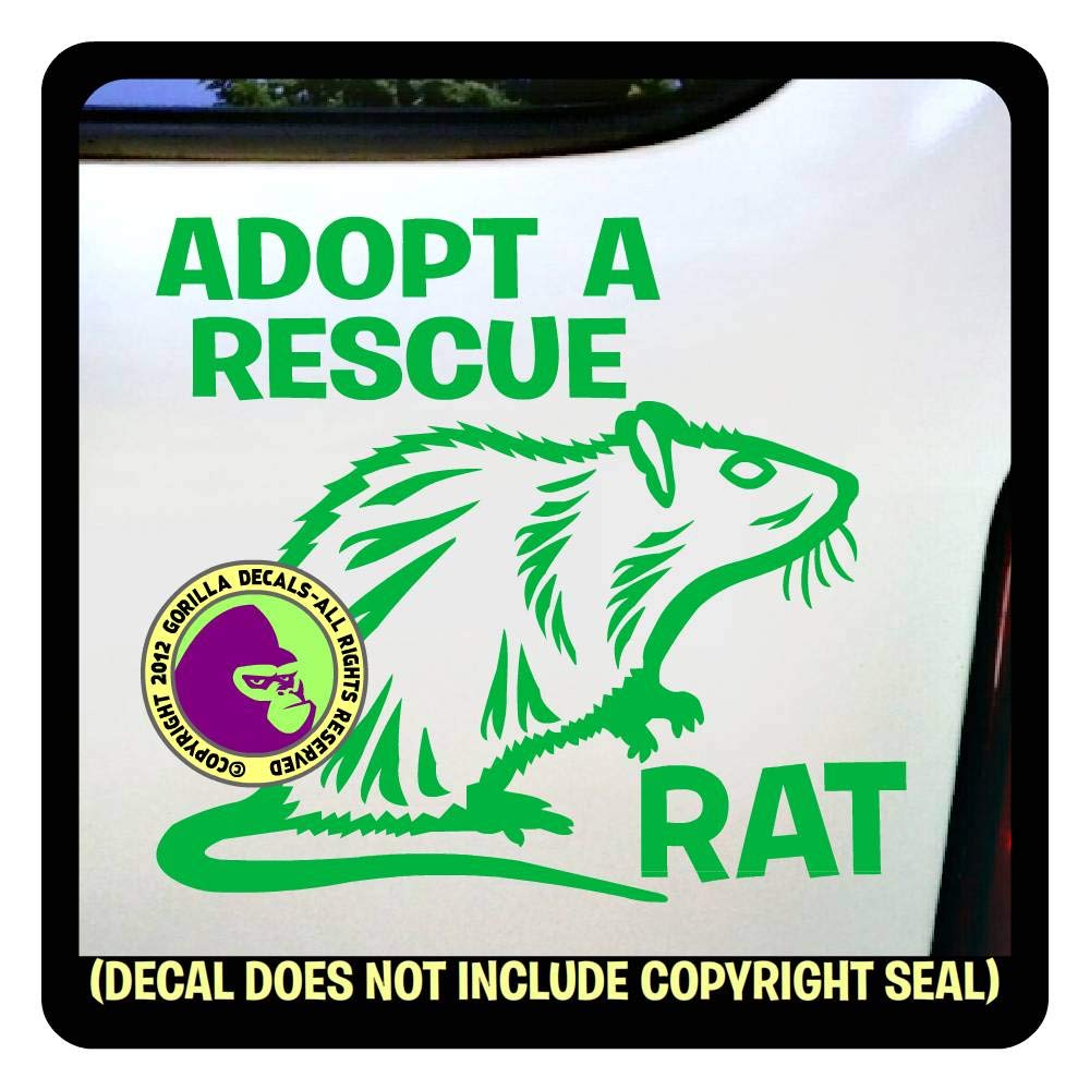 pet rat rescue near me