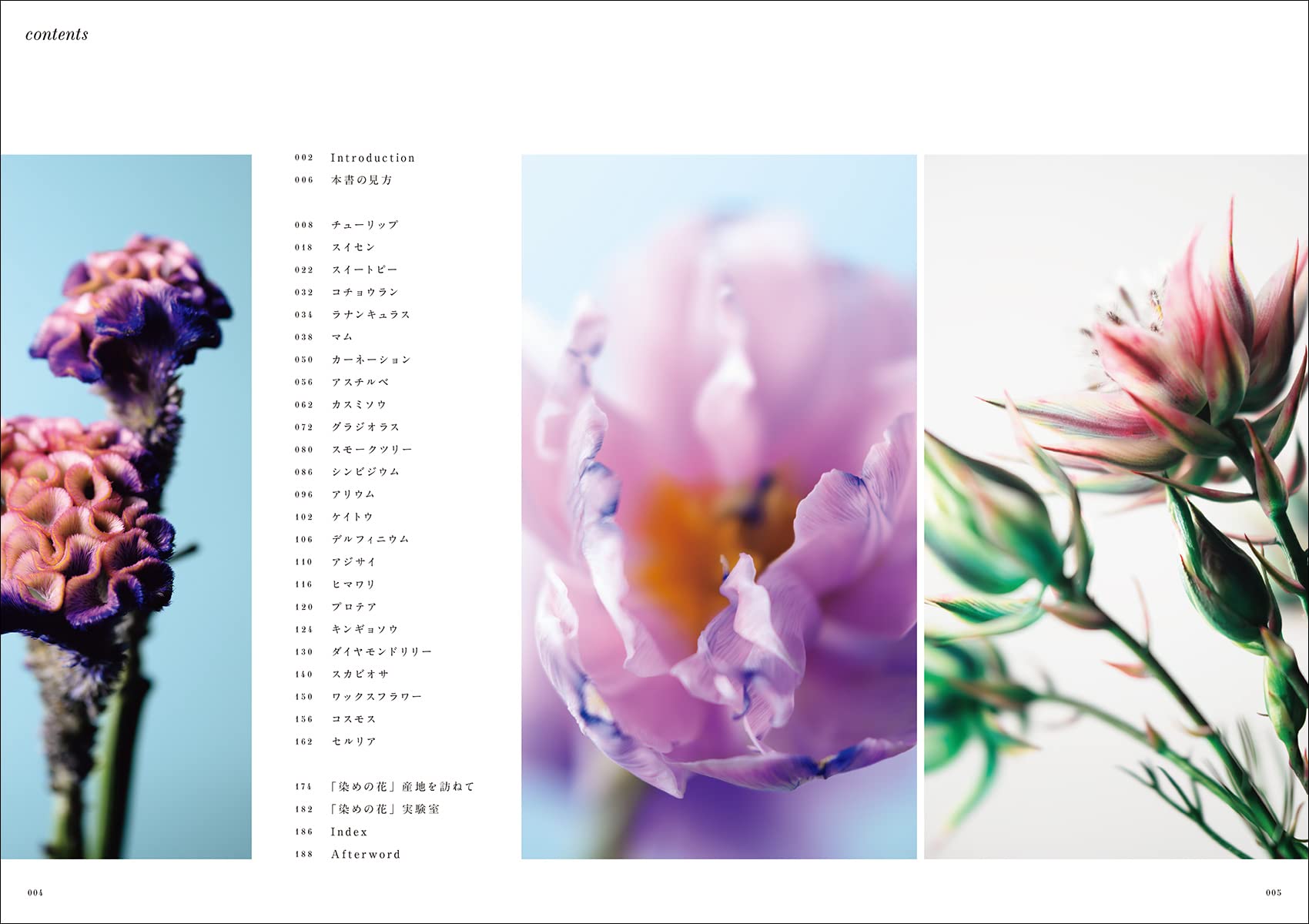 染めの花 フラワーデザイン図鑑 前田 有紀 本 通販 Amazon