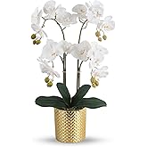 Ziwon Artificial Orchid Flowers Potted in Ceramic Pot, White Faux Phalaenopsis Orchids for Table Centerpiece, Realistic Fake Flower in vase for Home Office Decor Indoor