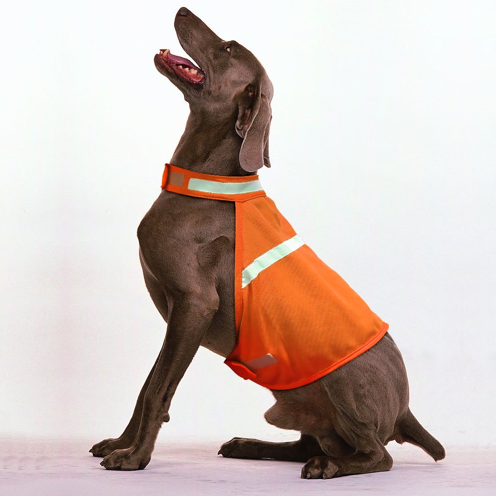 Clan_X Reflective Dog Vest, High-Visible Lightweight Dog Safety Cloth to Keep Dogs Safe, Adjustable Sizes to Fit Small, Medium, Large Breeds for Walking, Hunting, Jogging, Training. (L, Orange)