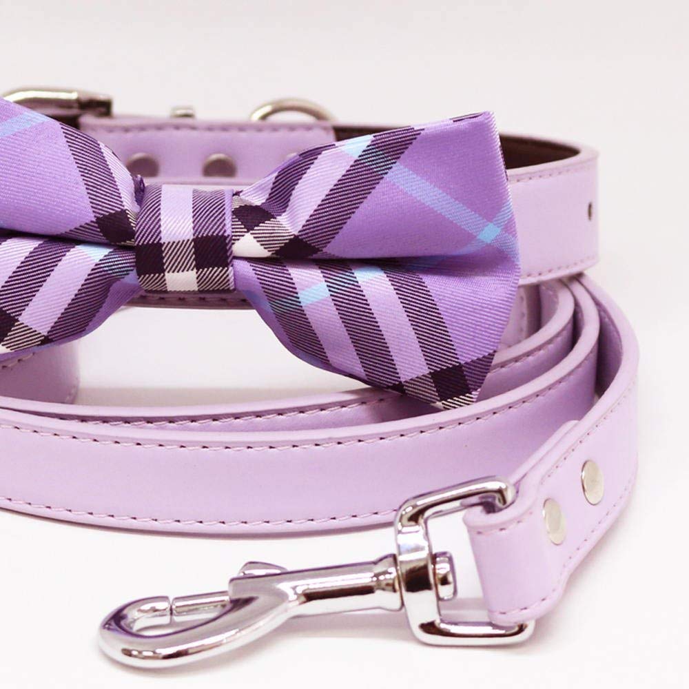 lavender leather dog collar