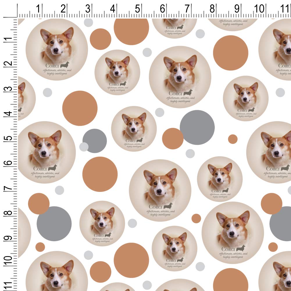 Amazoncom Graphics More Corgi Dog Breed Premium Gift