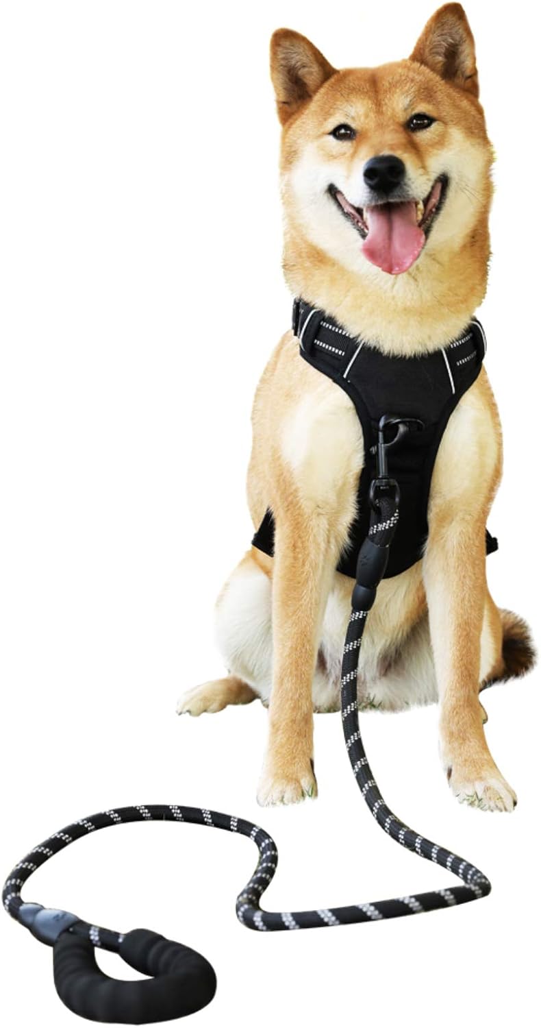 shiba harness
