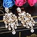 BriLove Gold-Toned Dangle Earrings Women's Vintage Style Bridal Crystal Drop Hollow Filigree Chandelier Earring Clear