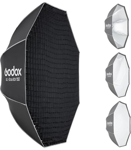 Amazon.com : Godox Honeycomb Grid for Godox QR-P120 P120L P120H