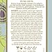 Pacifica Body Butter Tube, Mediterranean Fig, 8 Ounce