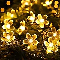 Fizzytech 25 LED 4 Meter Blossom Flower Fairy String Lights, Christmas Lights for Diwali Home Decoration (Warm White)