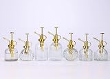 Eidoct Glass Plant Mister Spray Bottle 7 Oz Clear Gold Top 6.5'' view 7