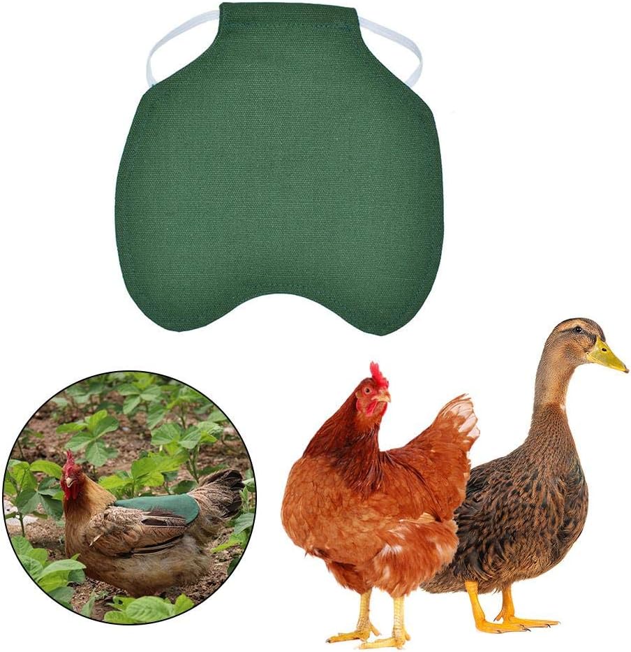 WANGHUI Poultry Jacket Vest Chicken Back Protector Apparel for Birds