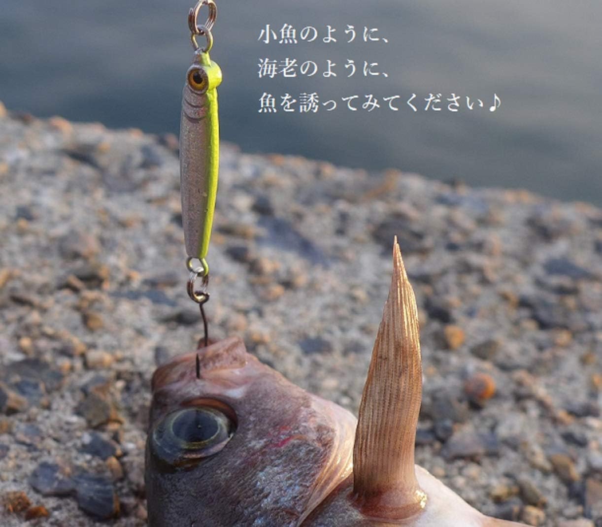 Amazon Samuo メタルジグ ライトゲーム 3g 5g メバル アジ 小型魚 マイクロジギング 5個 5色 セット ボックス付き ルアー