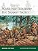 World War II Infantry Fire Support Tactics (Elite)
