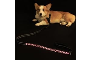 DEOMAN Pet Art LED Dog Leash,Rechargeable Nylon Light Up Leash for Night Walking,Length Adjustable 4-6ft,Waterproof & Durable,Pink