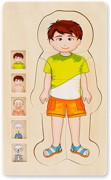rompecabezas cuerpo humano para niños
