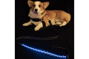 DEOMAN Pet Art LED Dog Leash,Rechargeable Nylon Light Up Leash for Night Walking,Length Adjustable 4-6ft,Waterproof & Durable Blue